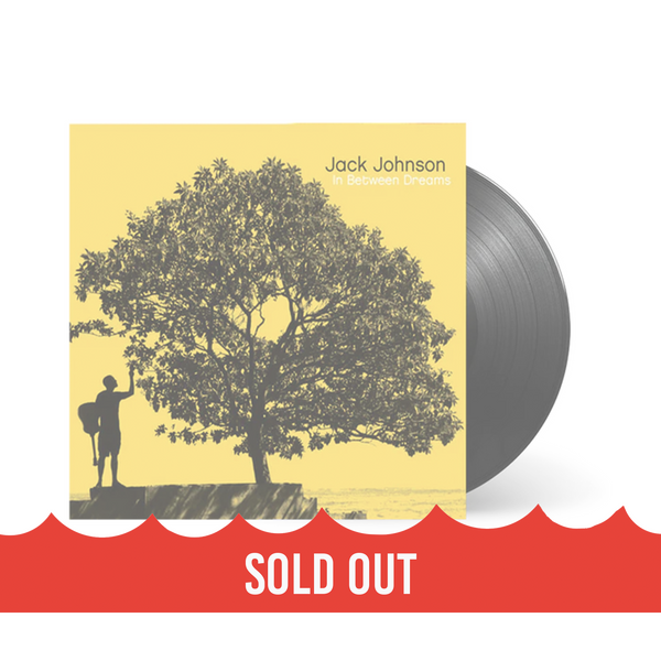 In Between Dreams Vinyl