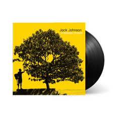 In Between Dreams Vinyl