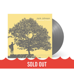 In Between Dreams Vinyl